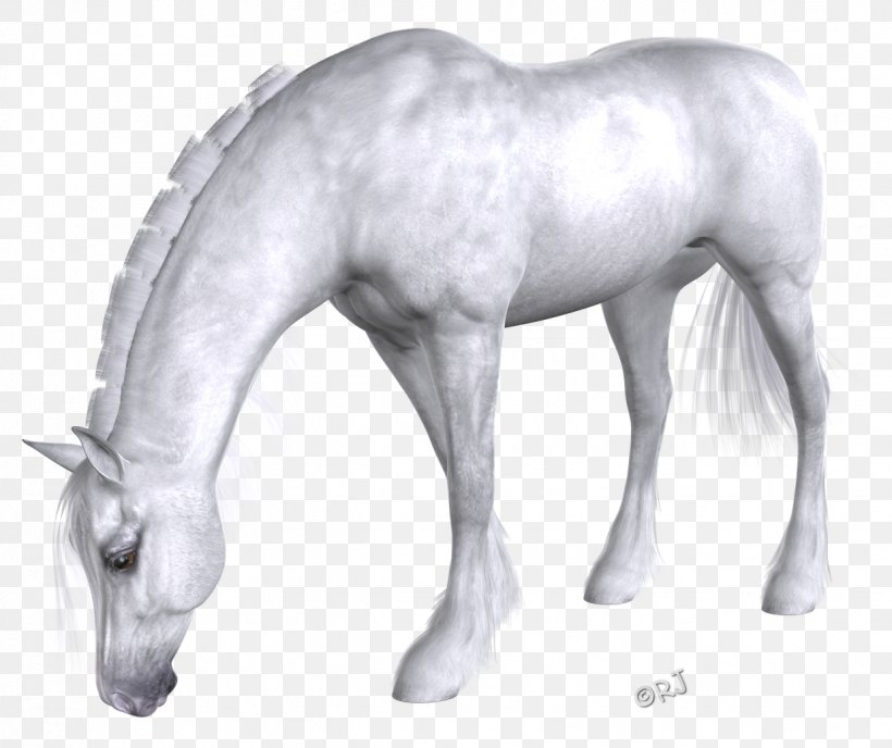 Mane Mustang Foal Stallion Colt, PNG, 1237x1039px, Mane, Animal, Animal Figure, Colt, Fauna Download Free