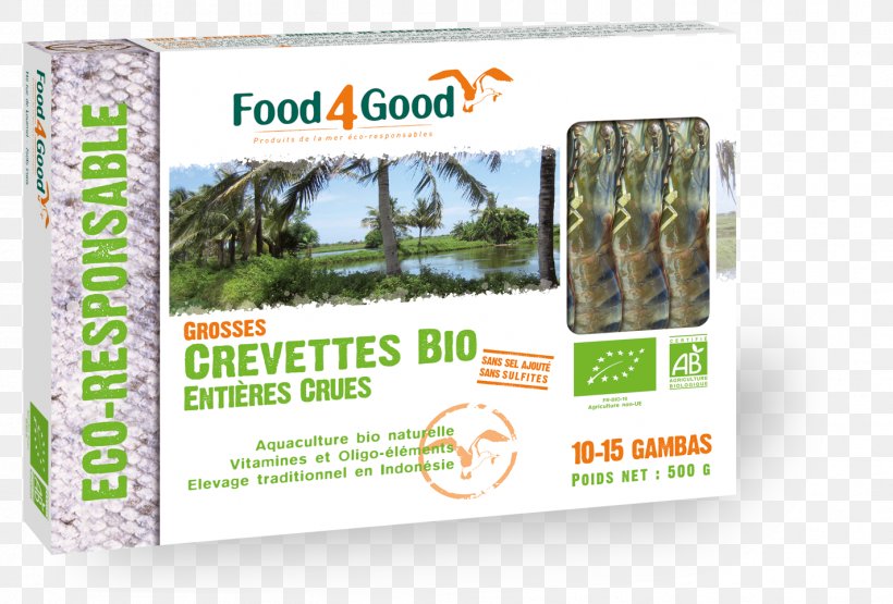Organic Food Paella Ratatouille Squid As Food, PNG, 1424x964px, Organic Food, Black Rice, Brand, Fish, Food Download Free