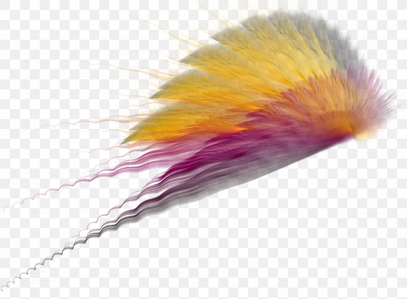 Photography, PNG, 1280x942px, Photography, Angel, Feather, Image Editing, Wing Download Free