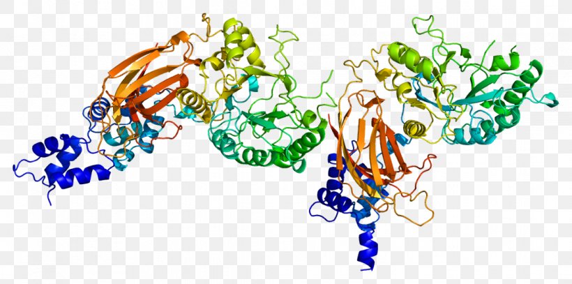 PLCD1 Phospholipase C Gene Phospholipase B Protein, PNG, 1118x555px, Watercolor, Cartoon, Flower, Frame, Heart Download Free