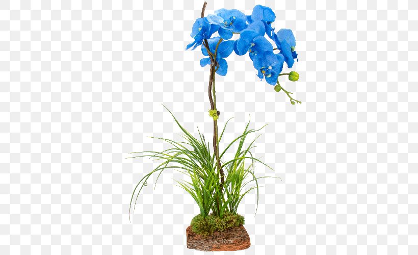 Flower Plant Stem Moth Orchids, PNG, 500x500px, Flower, Aquarium Decor, Artificial Flower, Blue, Boat Orchid Download Free