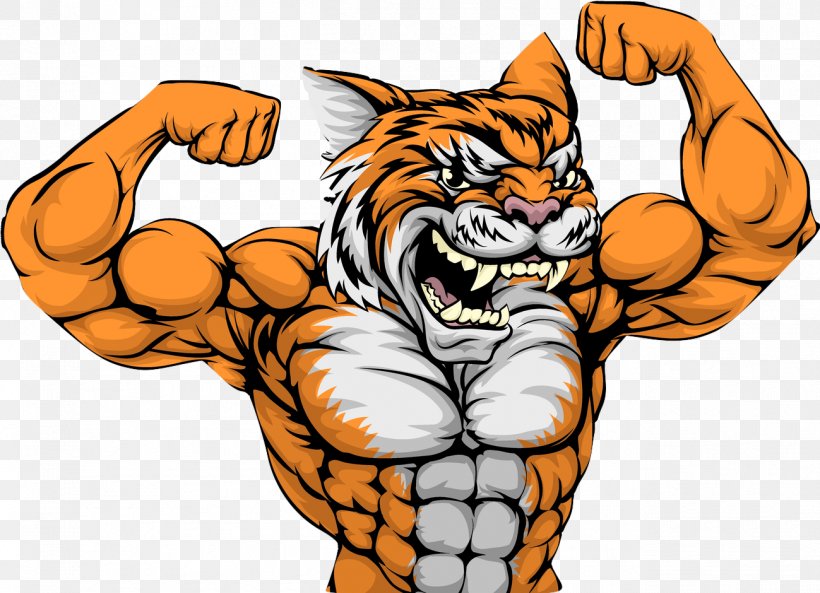 Tiger Muscle Stock Photography Clip Art, PNG, 1299x940px, Tiger, Arm, Biceps, Big Cats, Carnivoran Download Free