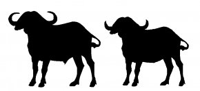 Buffalo Silhouette - Water Buffalo Clip Art PNG