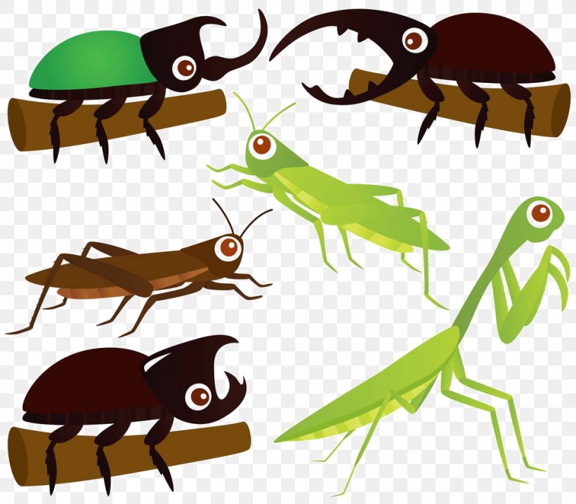 Beetle Grasshopper Mantis Clip Art, PNG, 1000x875px, Beetle, Artwork, Cartoon, Drawing, Fauna Download Free