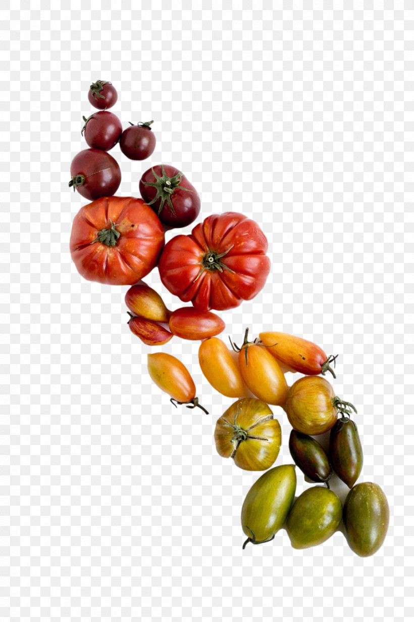 Tomato, PNG, 1200x1800px, Tomato, Bean, Fruit, Grocery Store, Natural Food Download Free