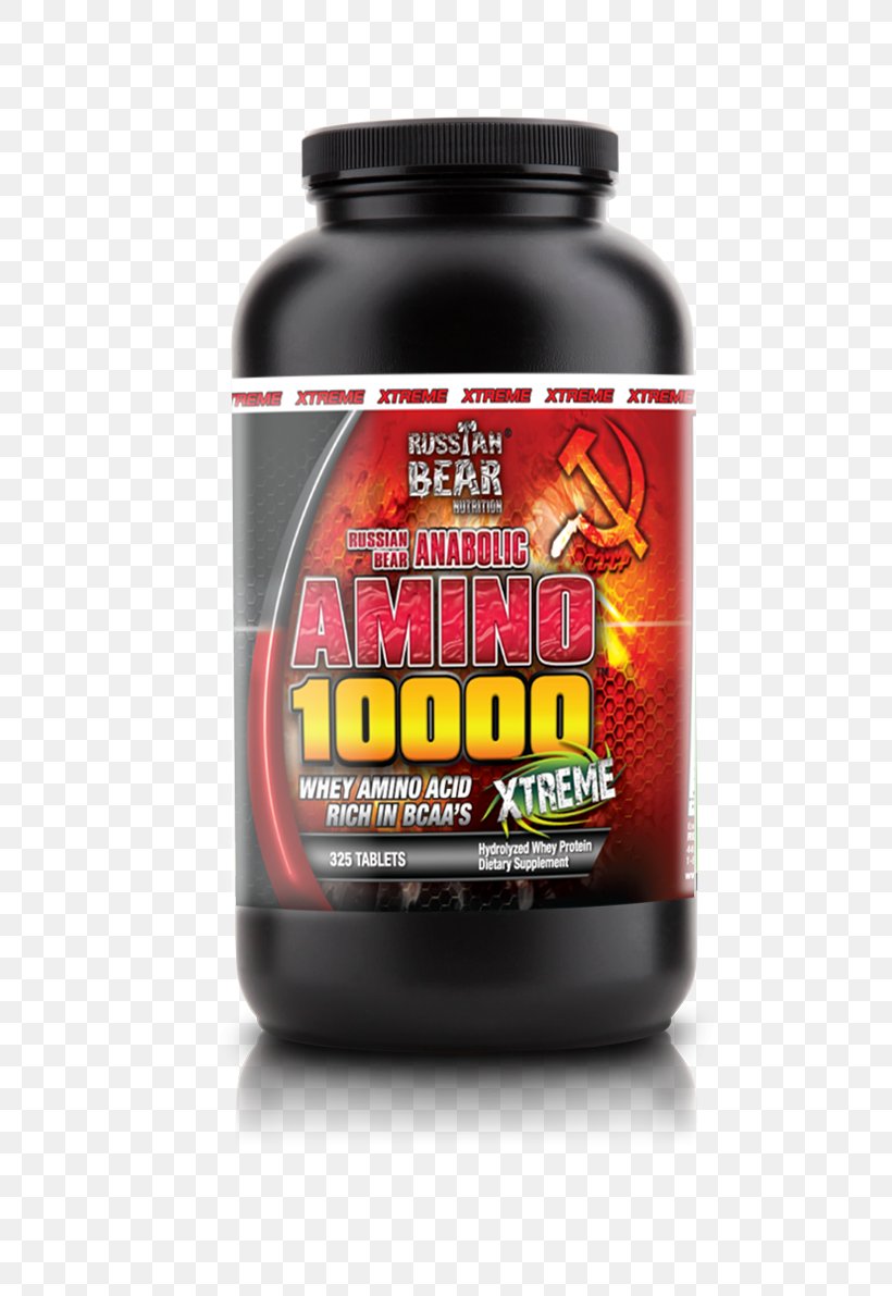 Branched-chain Amino Acid Russian Bear Bodybuilding Supplement Protein, PNG, 740x1191px, Amino Acid, Acid, Anabolism, Bodybuilding Supplement, Branchedchain Amino Acid Download Free