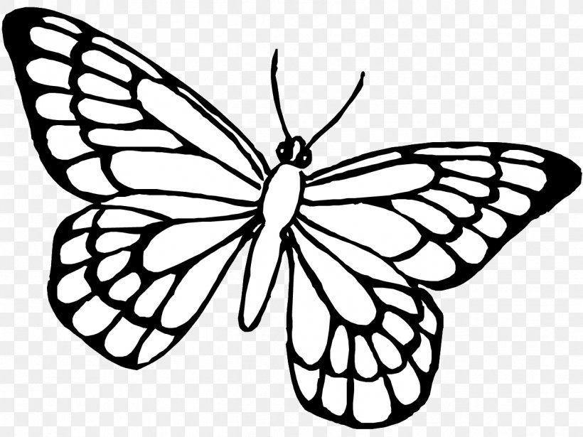 Butterfly Drawing Coloring Book Insect, PNG, 1266x950px, Butterfly, Art, Artwork, Black And White, Brush Footed Butterfly Download Free