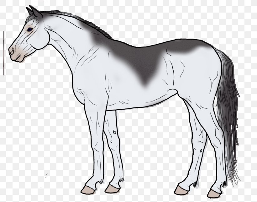 Mustang Line Art Mane Drawing Pony, PNG, 800x643px, Mustang, Animal Figure, Art Museum, Artist, Blackandwhite Download Free
