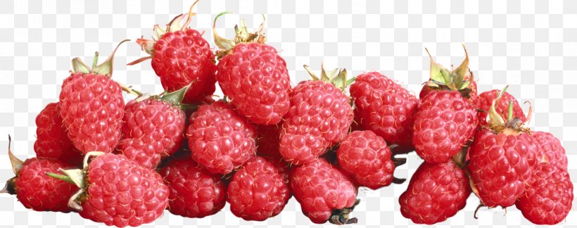 Raspberry Strawberry Cranberry, PNG, 1164x461px, Raspberry, Amora, Berry, Cranberry, Food Download Free