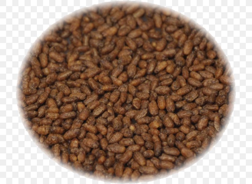 Seed Grain, PNG, 717x600px, Seed, Commodity, Food Grain, Grain, Ingredient Download Free