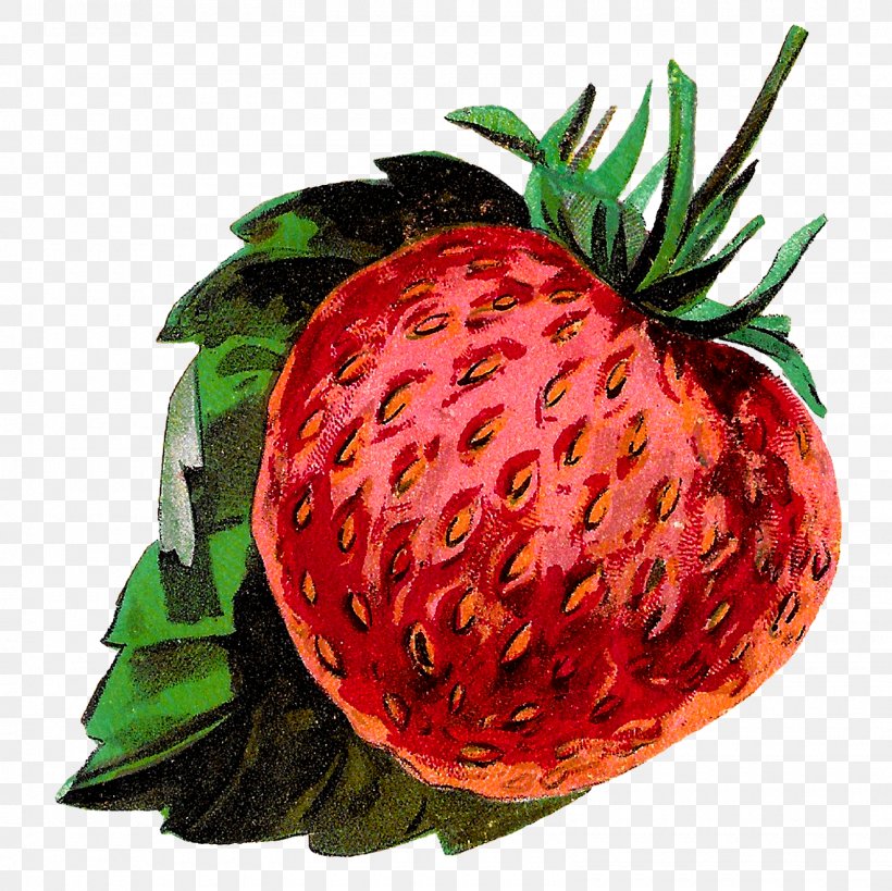 Strawberry Accessory Fruit Clip Art, PNG, 1600x1600px, Strawberry, Accessory Fruit, Berry, Food, Fruit Download Free