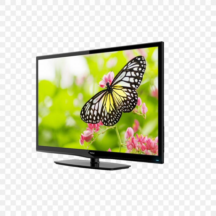 Television Set HDMI High-definition Television Component Video, PNG, 1200x1200px, Television, Av Input, Brush Footed Butterfly, Butterfly, Component Video Download Free