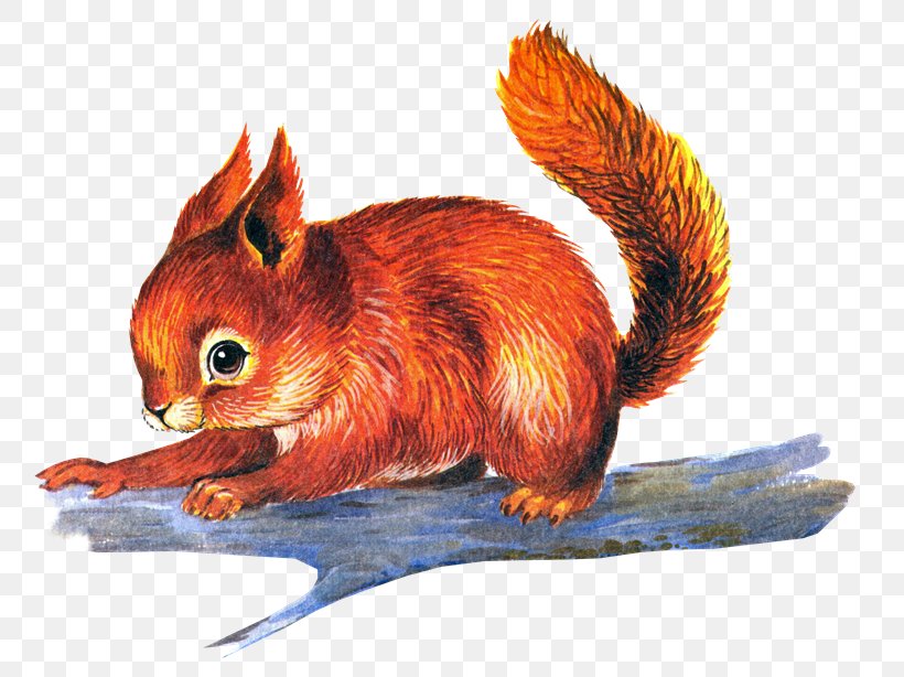 Chipmunk Drawing Red Squirrel Clip Art, PNG, 800x614px, Chipmunk, Carnivoran, Digital Image, Dog Like Mammal, Drawing Download Free