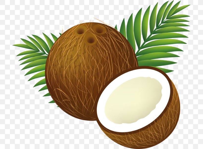 Coconut Water Coconut Milk Clip Art, PNG, 721x600px, Coconut Water, Arecaceae, Coconut, Coconut Milk, Drawing Download Free