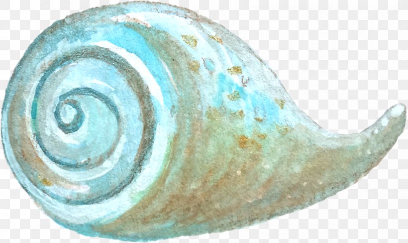 Given To The Sea Sea Snail, PNG, 1684x1003px, Sea Snail, Book, Book Review, Conch, Cups Download Free