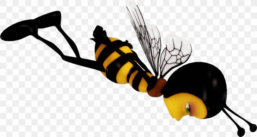Honey Bee Insect Computer Software Clip Art, PNG, 1024x546px, Honey Bee, Animaatio, Arthropod, Bee, Cartoon Download Free