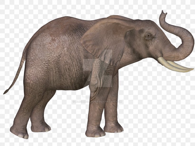 Indian Elephant African Elephant Mammoth Lakes Tusk Wildlife, PNG, 1024x768px, Indian Elephant, African Elephant, Animal, Elephant, Elephantidae Download Free