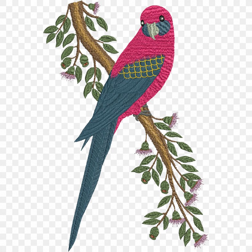 Machine Embroidery Design Parrot Macaw, PNG, 1000x1000px, Machine Embroidery, Art, Australia, Beak, Bird Download Free