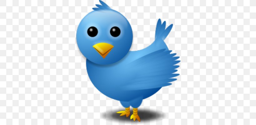 Social Media Social Networking Service Hashtag Blog Twitter, PNG, 338x400px, Social Media, Beak, Bird, Blog, Chicken Download Free