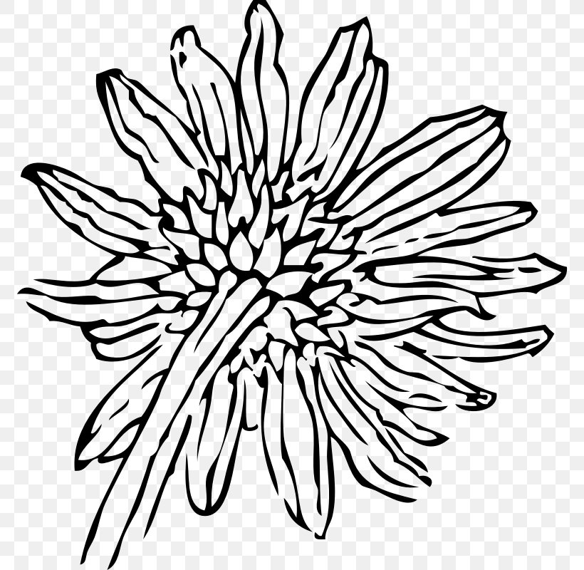 Drawing Common Sunflower Clip Art, PNG, 800x800px, Drawing, Art, Artwork, Black, Black And White Download Free
