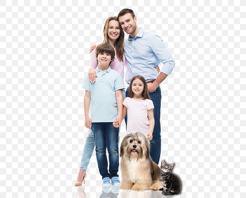 Family Stock Photography, PNG, 500x659px, Family, Air Conditioning, Apartment, Child, Companion Dog Download Free