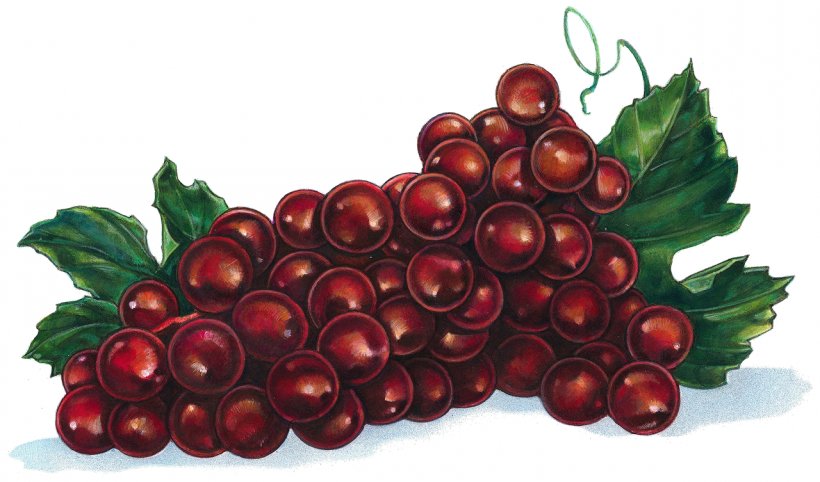 Grape Zante Currant Wine Fruit, PNG, 1280x753px, Grape, Auglis, Berry, Cherry, Computer Download Free
