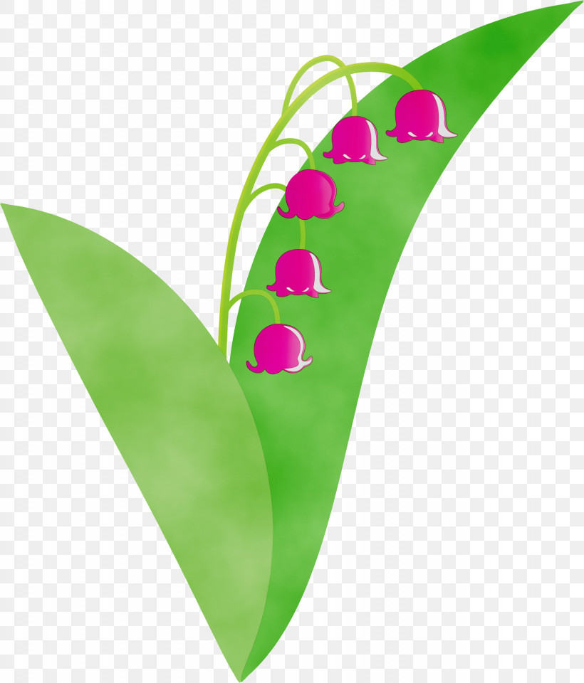 Leaf Green Plant Flower Anthurium, PNG, 2561x3000px, Lily Bell, Anthurium, Flower, Green, Leaf Download Free