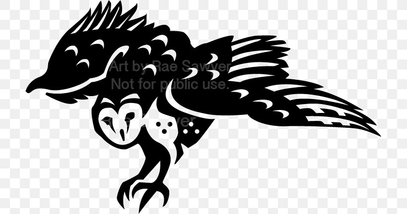 Barn Owl Drawing Beak, PNG, 717x432px, Owl, Animal, Art, Barn Owl, Beak Download Free
