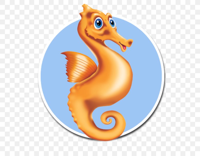 Seahorse Houston Swim Club Learning Swimming Lessons, PNG, 640x640px, Seahorse, Experience, Fish, Houston, Learning Download Free