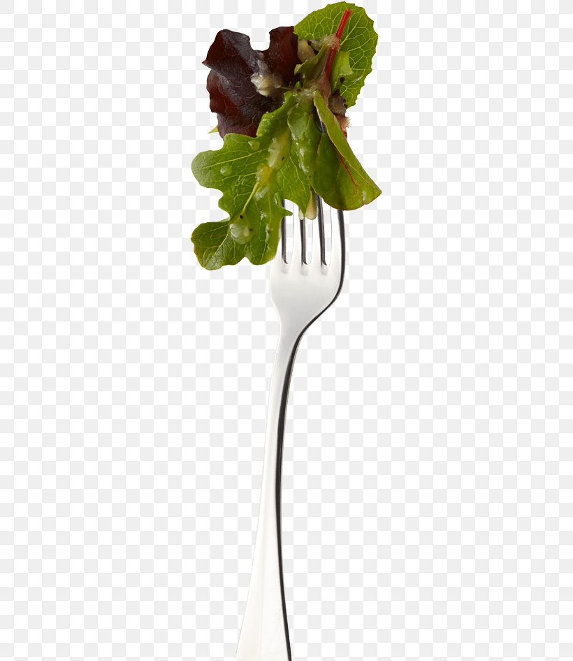Vinaigrette Leaf Agave Nectar Salad Dressing, PNG, 275x946px, Vinaigrette, Agave, Agave Nectar, Black Raspberry, Cucumber Download Free