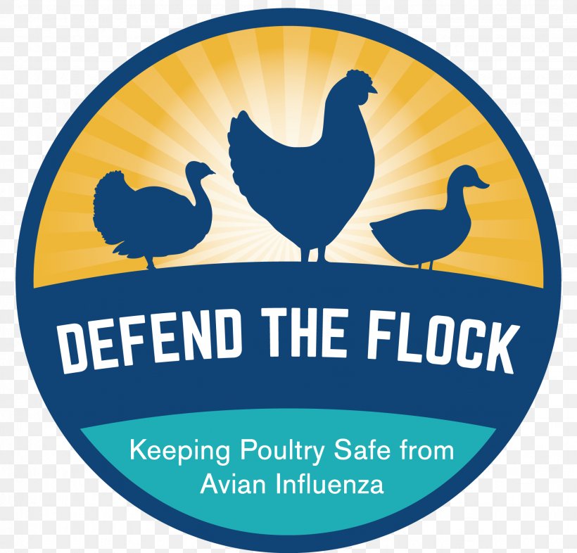 Avian Influenza Chicken Disease United States Department Of Agriculture Health, PNG, 2054x1971px, Avian Influenza, Advertising, Agriculture, Area, Beak Download Free