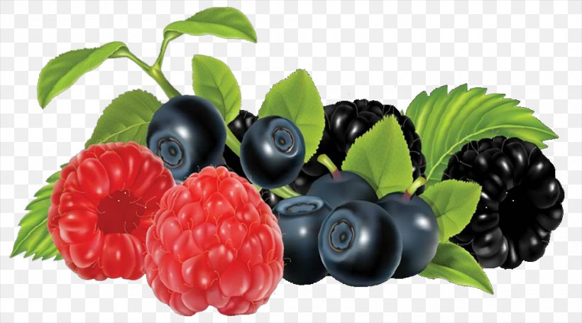 Frutti Di Bosco Blackberry Fruit Clip Art, PNG, 1000x555px, Berry, Blackberry, Blueberry, Blueberry Hill Berries, Food Download Free