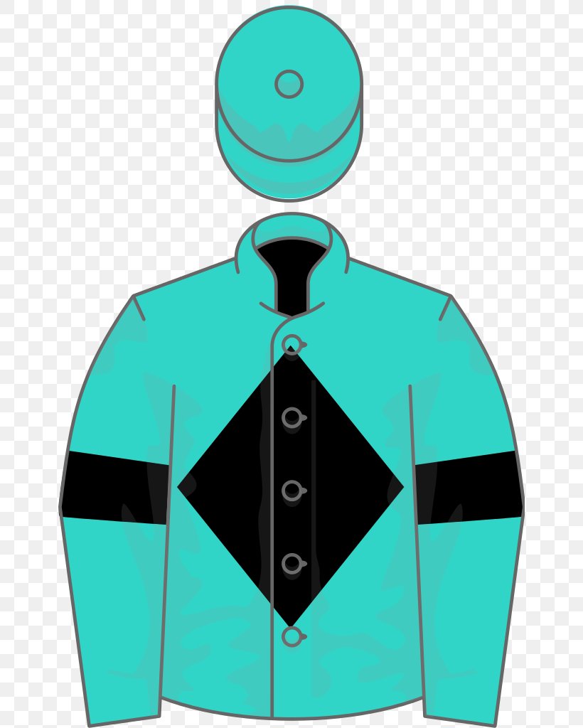 Thoroughbred Epsom Oaks Horse Racing Horse Trainer Epsom Derby, PNG, 656x1024px, Thoroughbred, Ballymacoll Stud, Blue, Casual Look, Collar Download Free