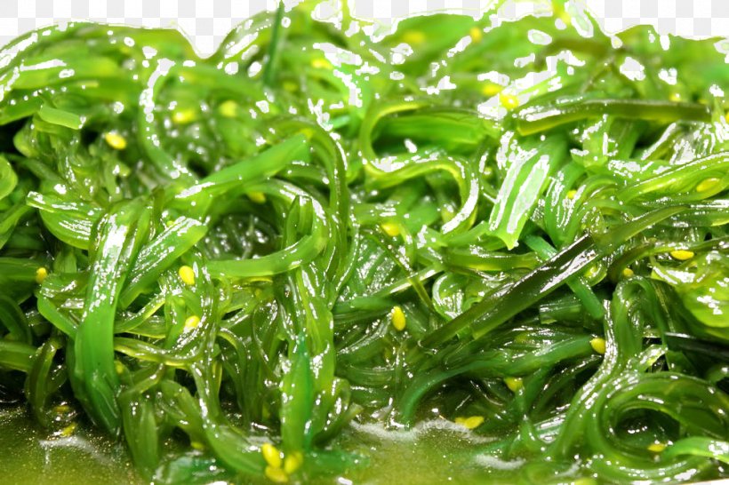 Vegetarian Cuisine Spirulina Algae Vegetarianism Seaweed, PNG, 1000x667px, Vegetarian Cuisine, Algae, Aonori, Edible Seaweed, Food Download Free