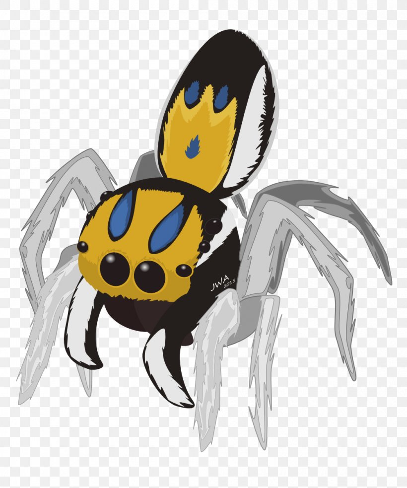 Peacock Spider Jumping Spider Clip Art Image, PNG, 1000x1200px, Spider, Arthropod, Cartoon, Fictional Character, Insect Download Free