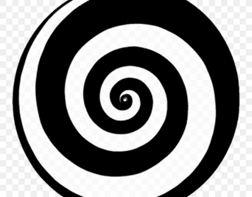 Circle Geometry Geometric Shape Spiral, PNG, 800x640px, Geometry, Animal, Area, Art, Black And White Download Free