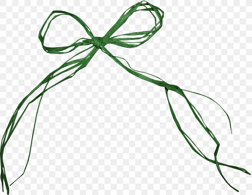 Rope Clip Art Image Bow, PNG, 1631x1268px, Rope, Art, Bow, Bow Tie, Green Download Free