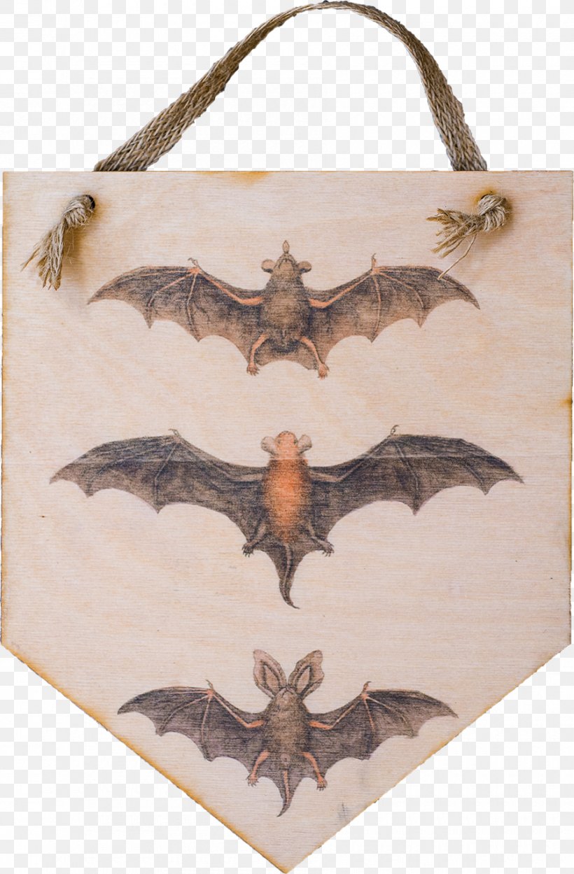 Bat Illustration Clip Art Drawing Vector Graphics, PNG, 900x1371px, Bat, Art, Biological Illustration, Bird, Drawing Download Free