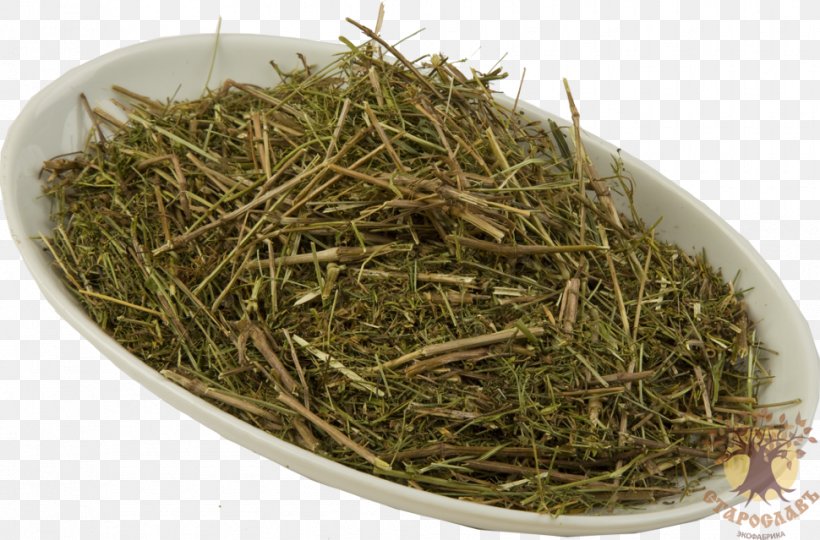 Cleavers Lady's Bedstraw Tea Romeritos Omsk, PNG, 970x639px, Cleavers, Assortment Strategies, Bancha, Dianhong, Galium Download Free