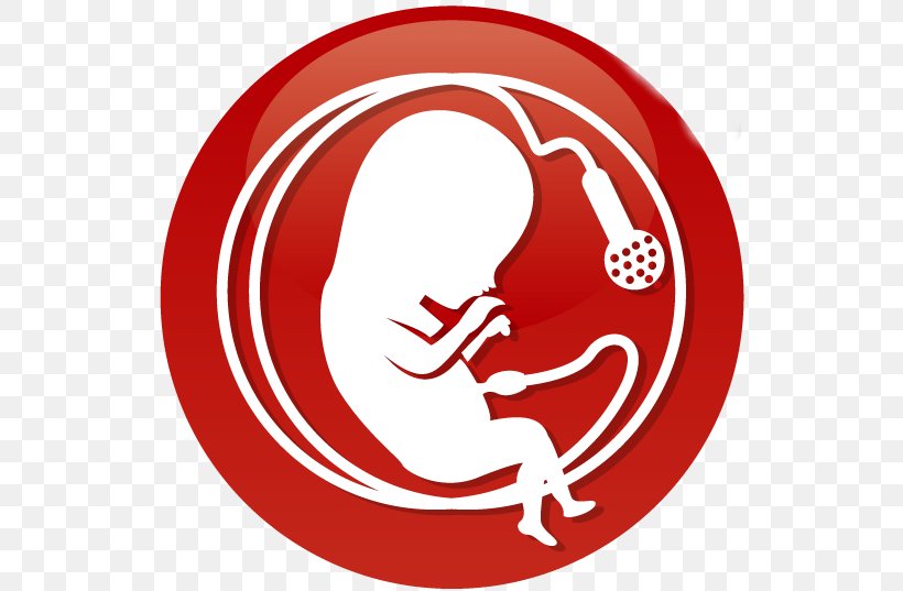 Clip Art A Defense Of Abortion Fetus Analogy Anti-abortion Movements, PNG, 551x537px, Fetus, Abortion, Analogy, Antiabortion Movements, Area Download Free