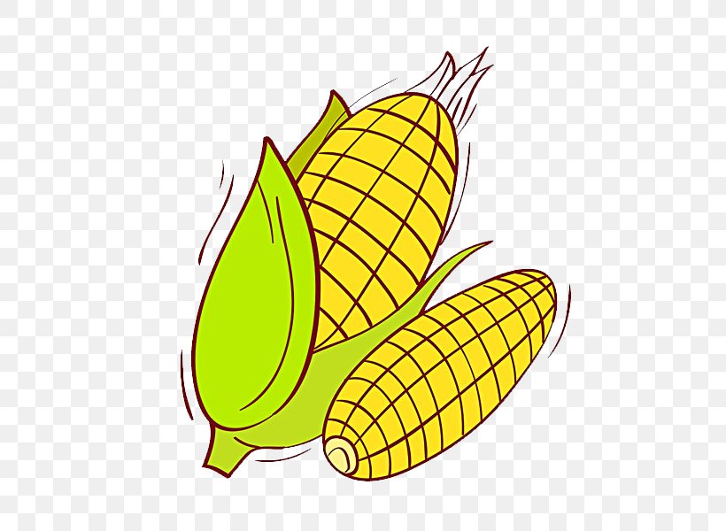 Corn On The Cob Maize Cartoon Illustration, PNG, 600x600px, Corn On The Cob, Cartoon, Commodity, Corncob, Flowering Plant Download Free