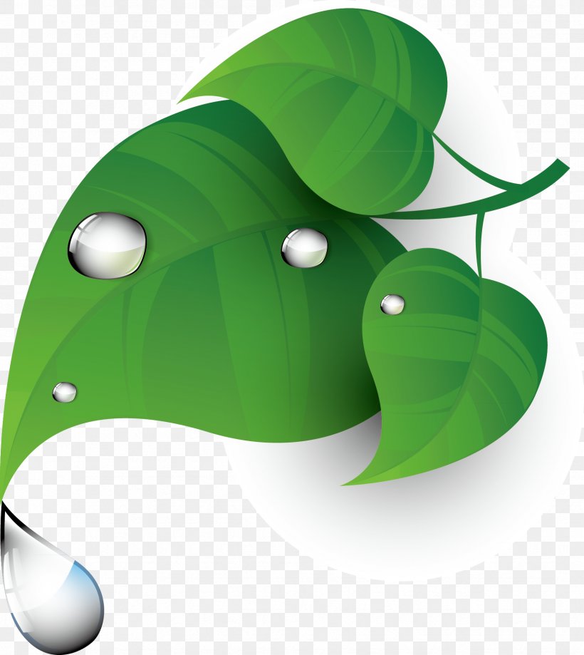 Green Clip Art, PNG, 1738x1948px, Green, Cartoon, Clover, Dew, Grass Download Free