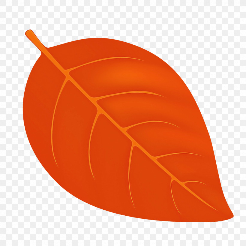 Orange, PNG, 1200x1200px, Autumn Cartoon Leaf, Cartoon Leaf, Fall Leaf, Leaf, Orange Download Free