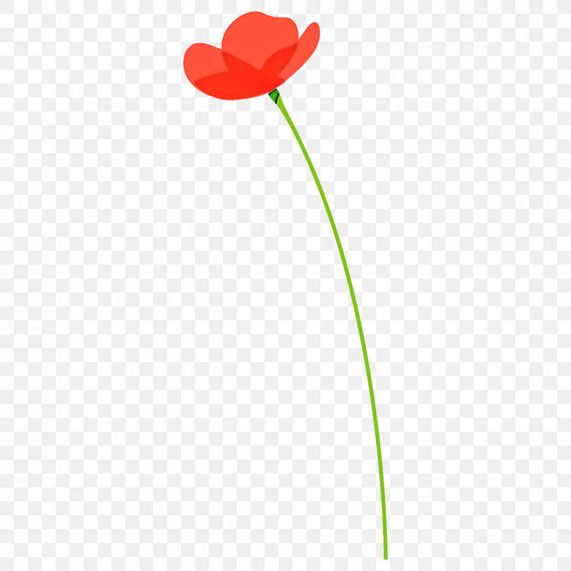 Poppy Flower, PNG, 1200x1200px, Poppy Flower, Coquelicot, Flower, Pedicel, Petal Download Free