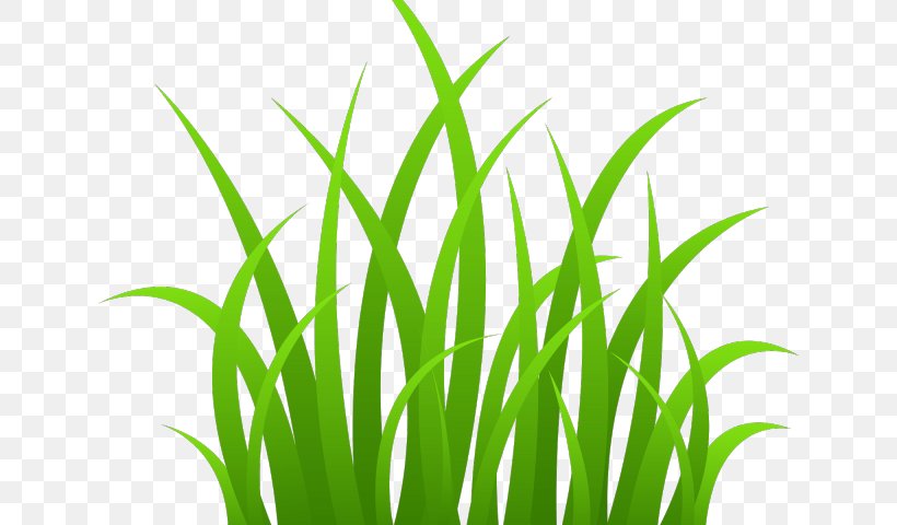 Clip Art Image Free Content Desktop Wallpaper, PNG, 640x480px, Grasses, Aquarium Decor, Blog, Commodity, Crop Download Free