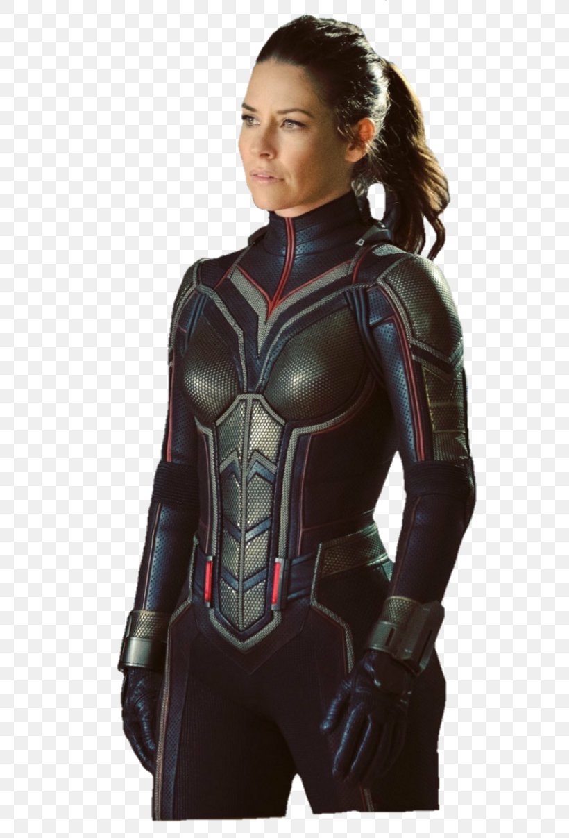 Evangeline Lilly Ant-Man And The Wasp Hope Pym Hank Pym, PNG, 661x1207px, Watercolor, Cartoon, Flower, Frame, Heart Download Free