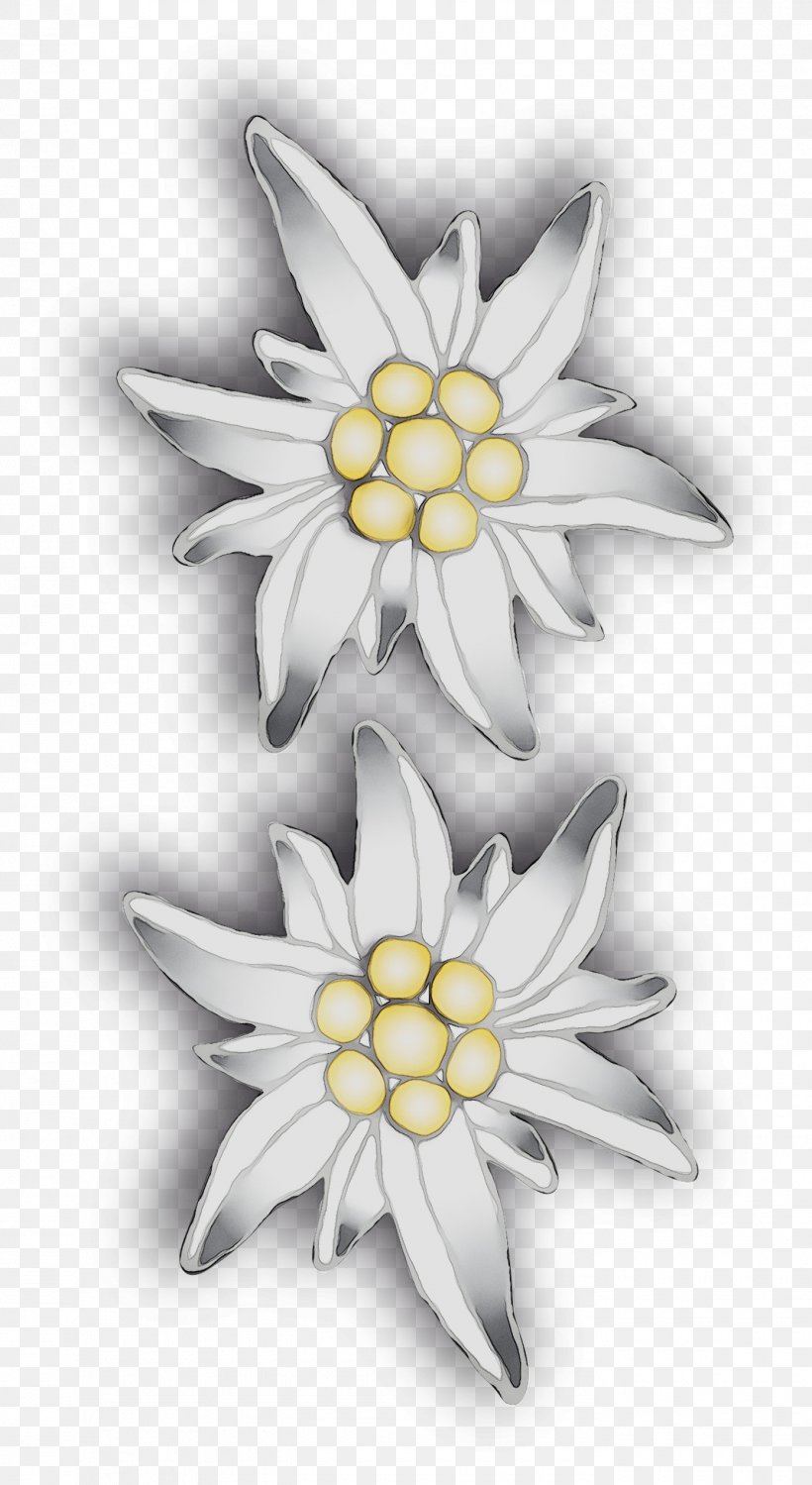 Yellow, PNG, 1390x2541px, Yellow, Blackandwhite, Edelweiss, Flannel Flower, Flower Download Free