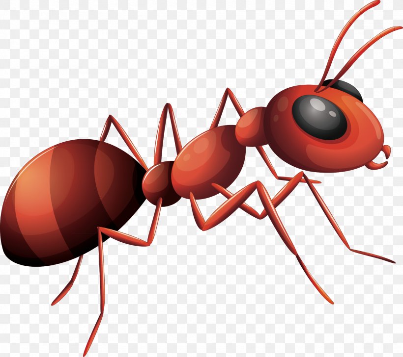 Ant, PNG, 1771x1574px, Ant, Arthropod, Atta Laevigata, Insect, Invertebrate Download Free