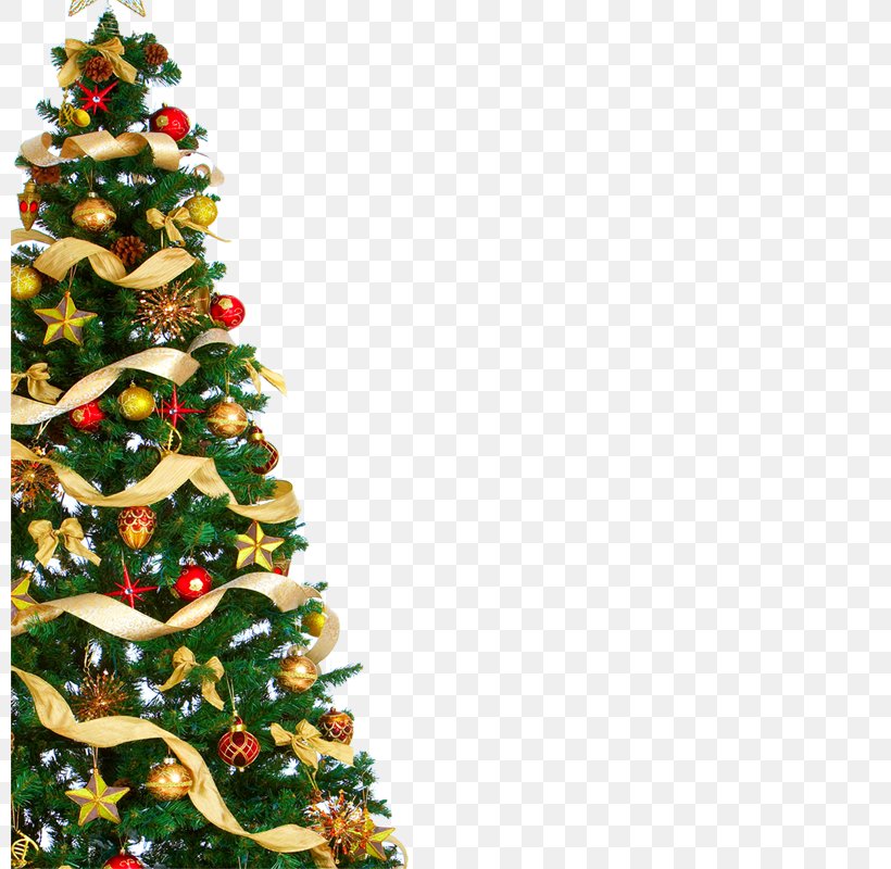 Christmas, PNG, 800x800px, Christmas Tree, Christmas, Christmas Decoration, Christmas Gift, Christmas Ornament Download Free