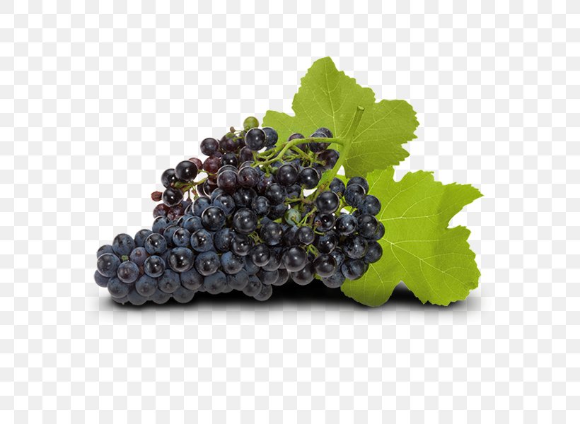 Common Grape Vine Zante Currant Wine Seedless Fruit, PNG, 600x600px, Common Grape Vine, Berry, Bilberry, Food, Fruit Download Free